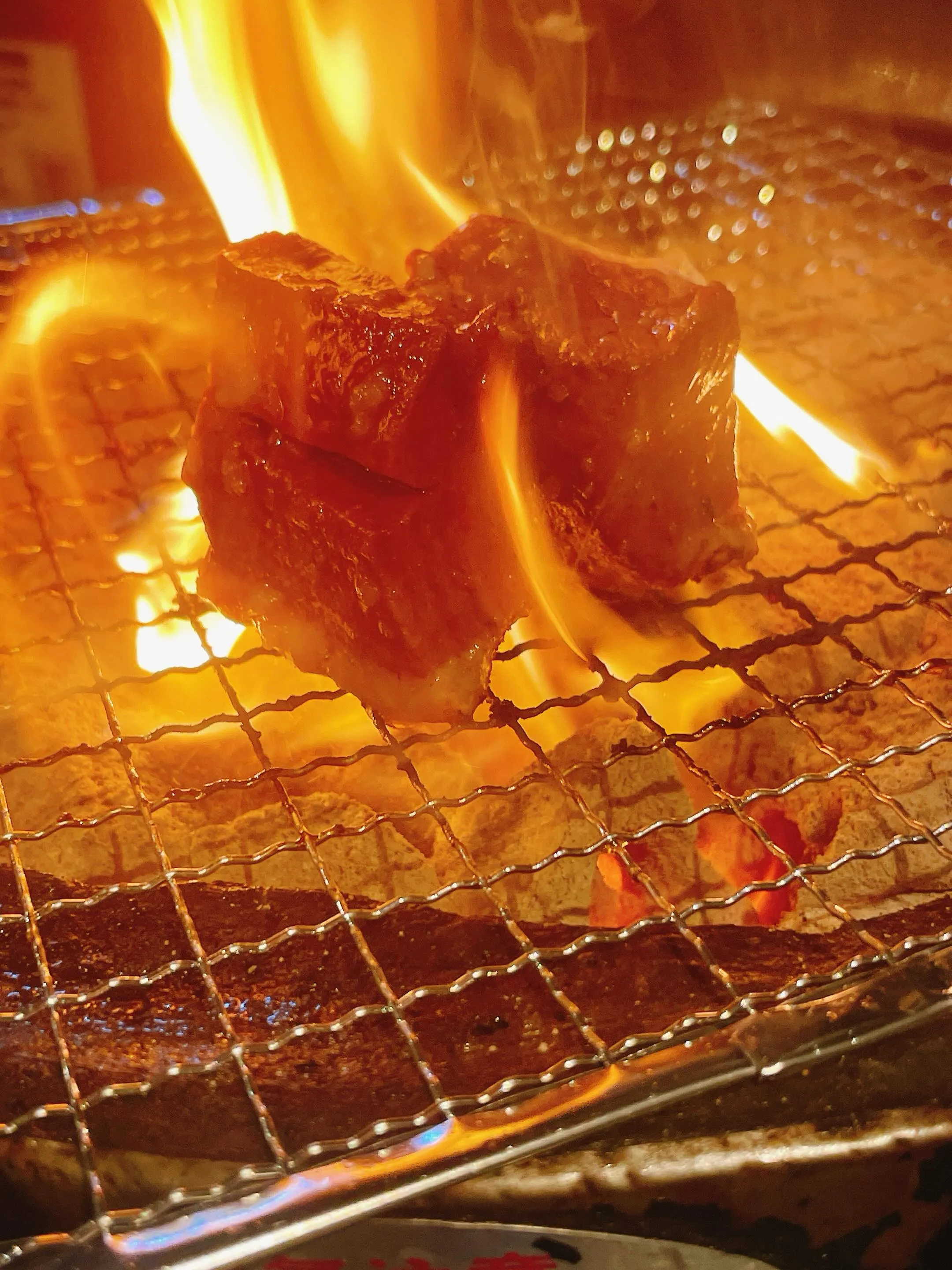 6月13日(土)